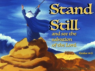 Exodus 14:13 Stand Still (devotional)03:13 (blue)